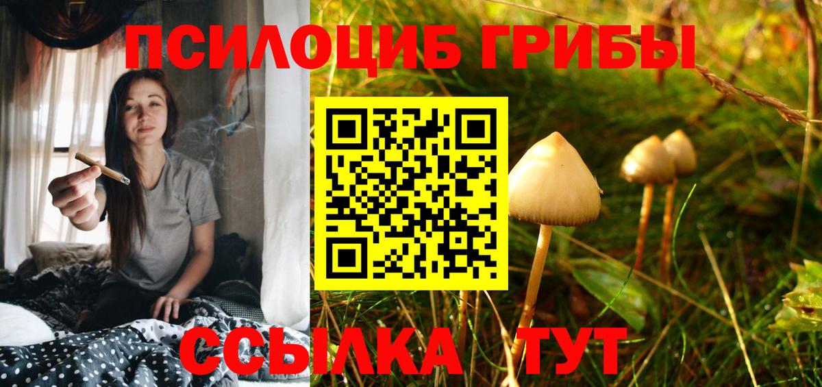 Кировск  Галлюциногенные грибы GOLDEN TEACHER  Вход с VPN 