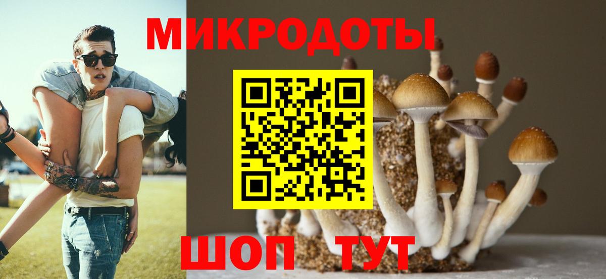 Псилоцибиновые грибы ЛСД Кировск